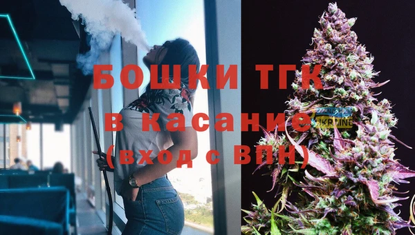 PSILOCYBIN Аркадак