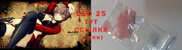 PSILOCYBIN Аркадак