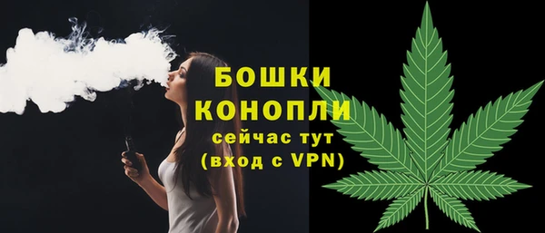 PSILOCYBIN Аркадак