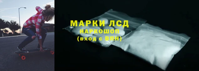 PSILOCYBIN Аркадак