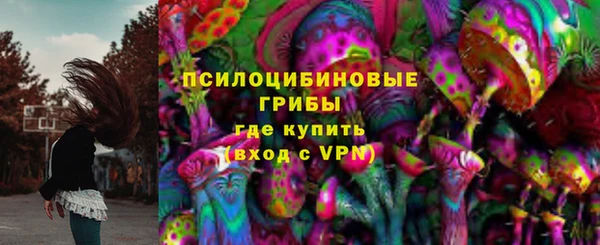 PSILOCYBIN Аркадак