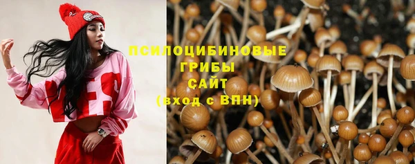 PSILOCYBIN Аркадак