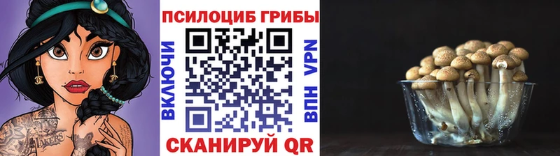 Псилоцибиновые грибы Cubensis  ОМГ ОМГ ТОР  Макарьев 